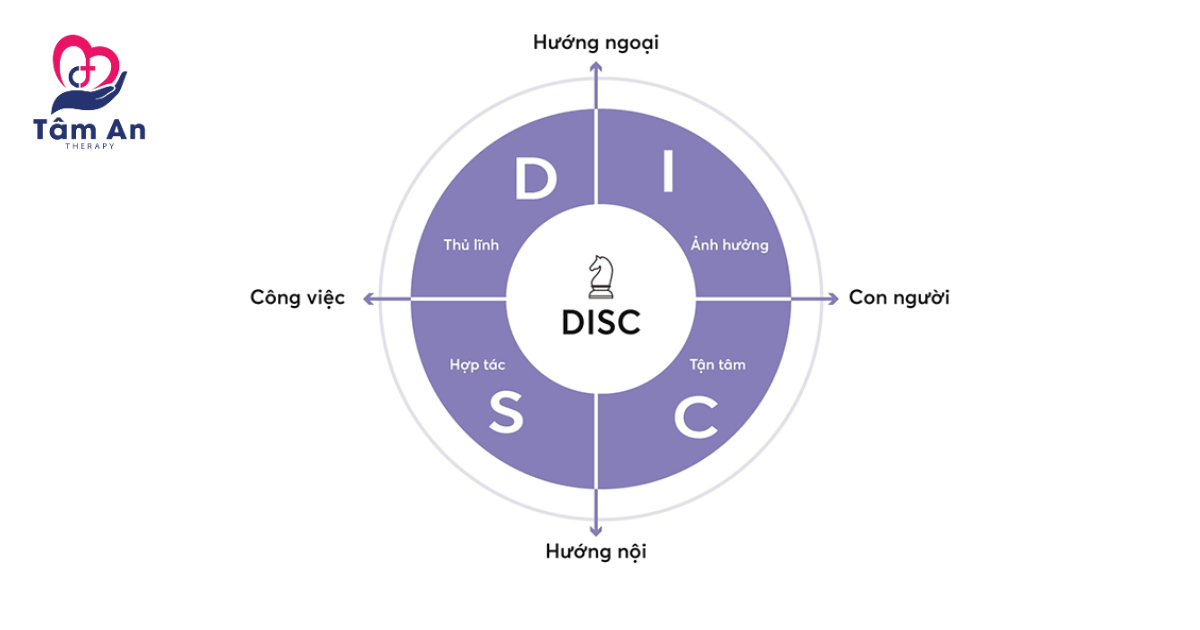 DISC – Hiểu rõ hành vi, nâng cao hiệu suất và giao tiếp hiệu quả trong công việc