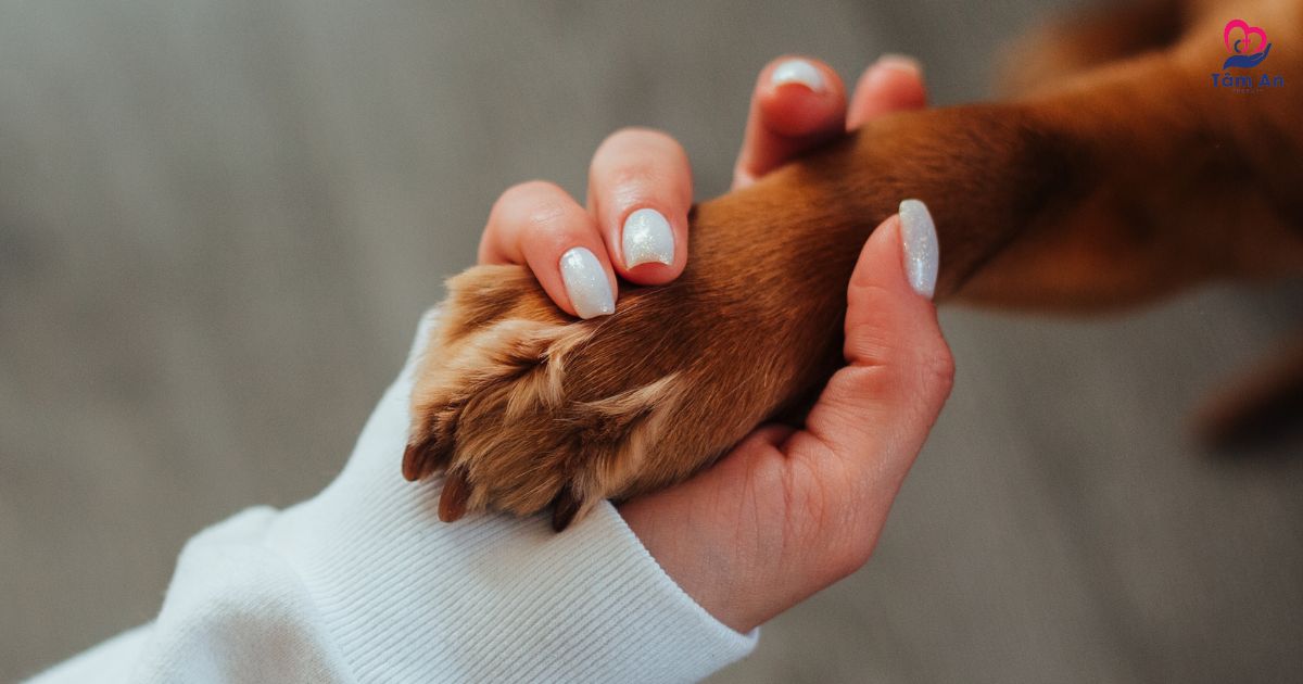 Ánh mắt yêu thương của thú cưng là nguồn động lực tinh thần lớn lao