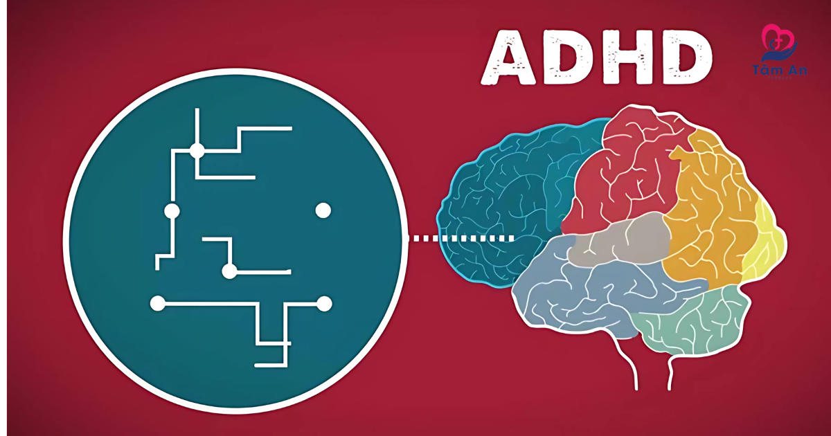 ADHD có nguyên nhân từ yếu tố di truyền, thần kinh hoặc từ thời kỳ bào thai